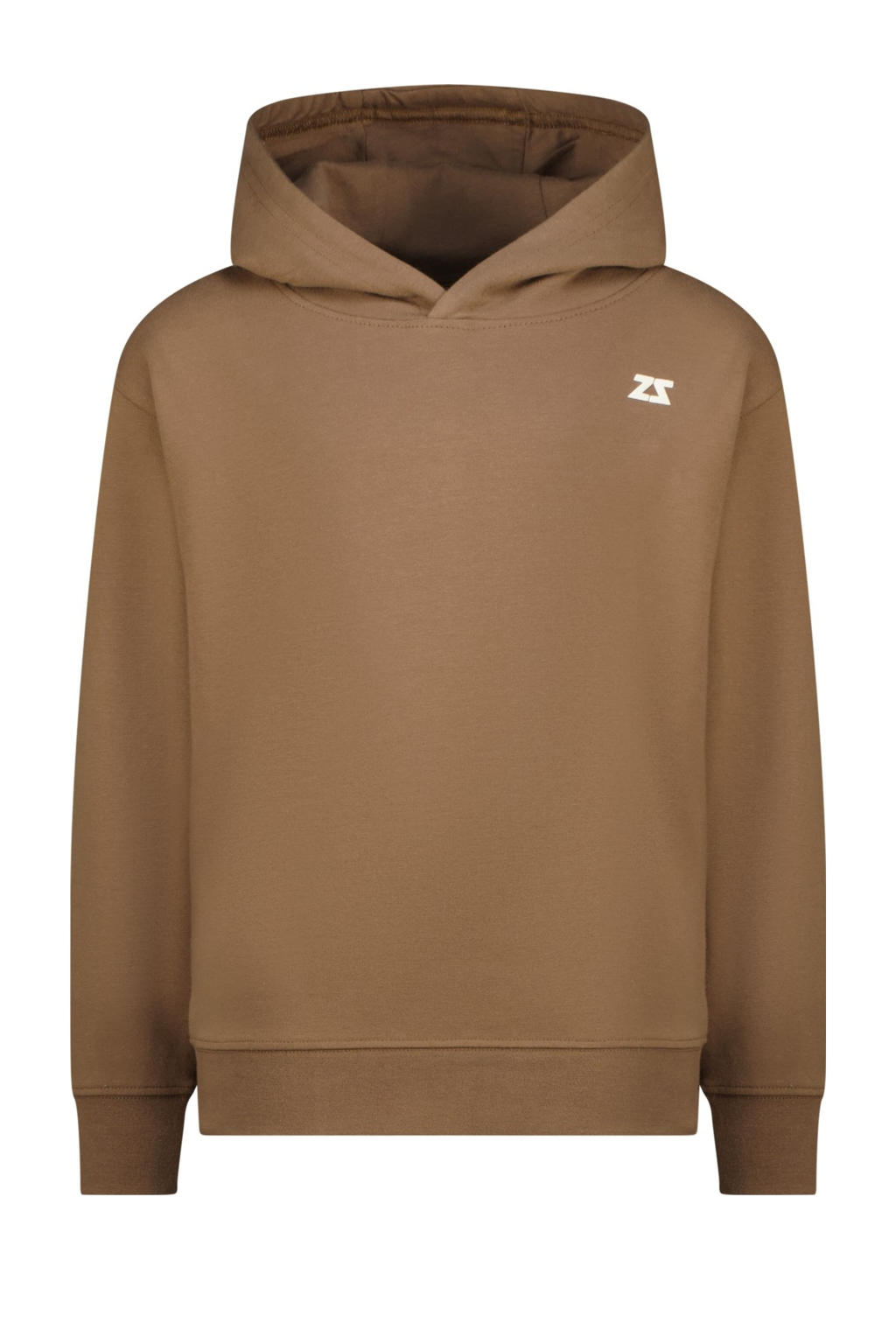 Raizzed hoodie bruin