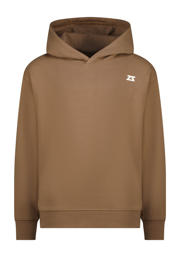 thumbnail: Raizzed hoodie bruin