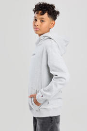 thumbnail: Grijze jongens America Today hoodie van sweat materiaal met backprint, lange mouwen en capuchon