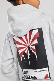 thumbnail: America Today hoodie grijs