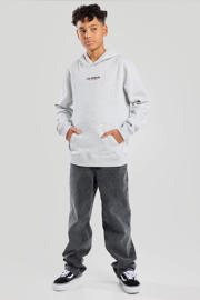 thumbnail: Grijze jongens America Today hoodie van sweat materiaal met backprint, lange mouwen en capuchon