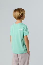 thumbnail: The North Face T-shirt Simple Dome mintgroen