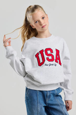 sweater grijs