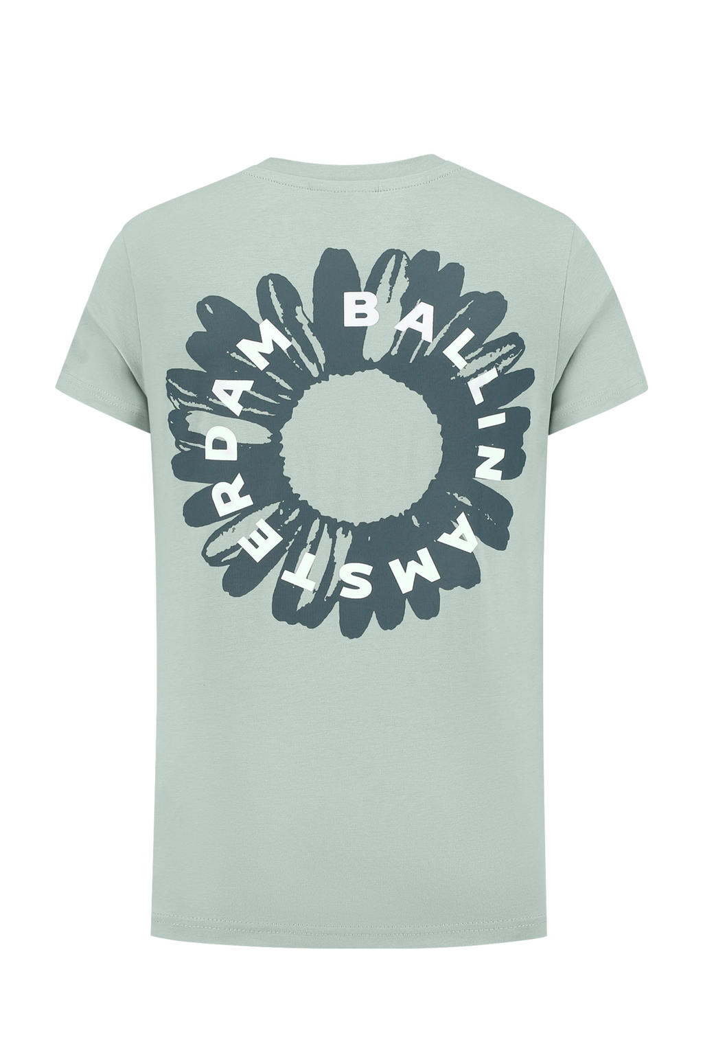 Saliegroen, antraciet en witte jongens Ballin T-shirt van stretchkatoen met backprint, korte mouwen en ronde hals