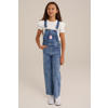 WE Fashion Blue Ridge relaxed fit tuinbroek blue used denim