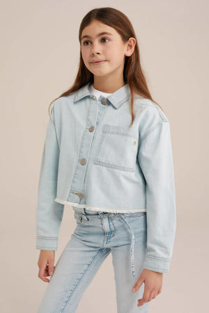 blouse lichtblauw