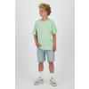 Raizzed T-shirt lichtgroen