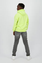 thumbnail: Raizzed hoodie limegroen
