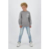 Raizzed sweater grijs