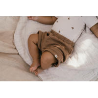 thumbnail: A Tiny Story sweatshort bruin