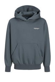 thumbnail: JACK & JONES JUNIOR hoodie grijs