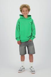 thumbnail: Raizzed regular denim short grey denim