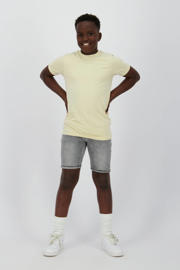 thumbnail: Grey denim jongens Raizzed regular van denim met rits- en knoopsluiting en effen