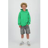 Raizzed hoodie groen