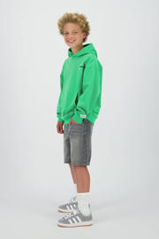 thumbnail: Raizzed hoodie groen