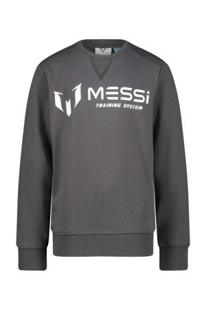 sweater grijs