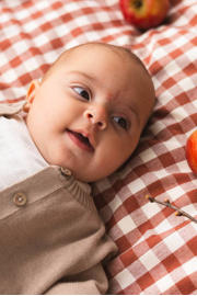 thumbnail: Beige jongens Quapi Newborn gebreid vest van katoen met effen, lange mouwen, ronde hals en knoopsluiting