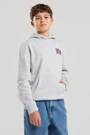 thumbnail: Grijze jongens America Today hoodie van sweat materiaal met backprint, lange mouwen en capuchon