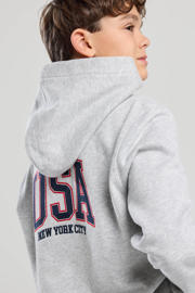 thumbnail: America Today hoodie grijs