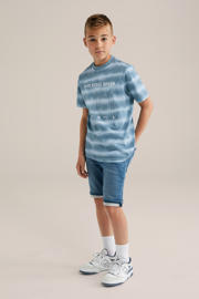 thumbnail: Blauw en lichtblauwe jongens WE Fashion Blue Ridge T-shirt van katoen met printopdruk, korte mouwen en ronde hals