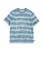 thumbnail: WE Fashion Blue Ridge T-shirt blauw/lichtblauw