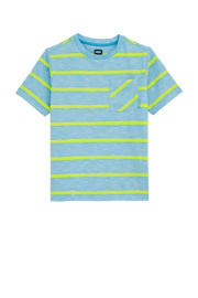thumbnail: Lichtblauw en limegroene jongens WE Fashion T-shirt van katoen met strepenprint, korte mouwen en ronde hals
