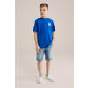 WE Fashion Blue Ridge T-shirt blauw