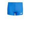 adidas Performance Infinitex zwemboxer blauw