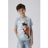 NAME IT KIDS Dragonball T-shirt lichtblauw
