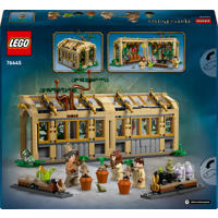 thumbnail: LEGO Harry Potter Kasteel Zweinstein™: Kruidenkundeles 76445