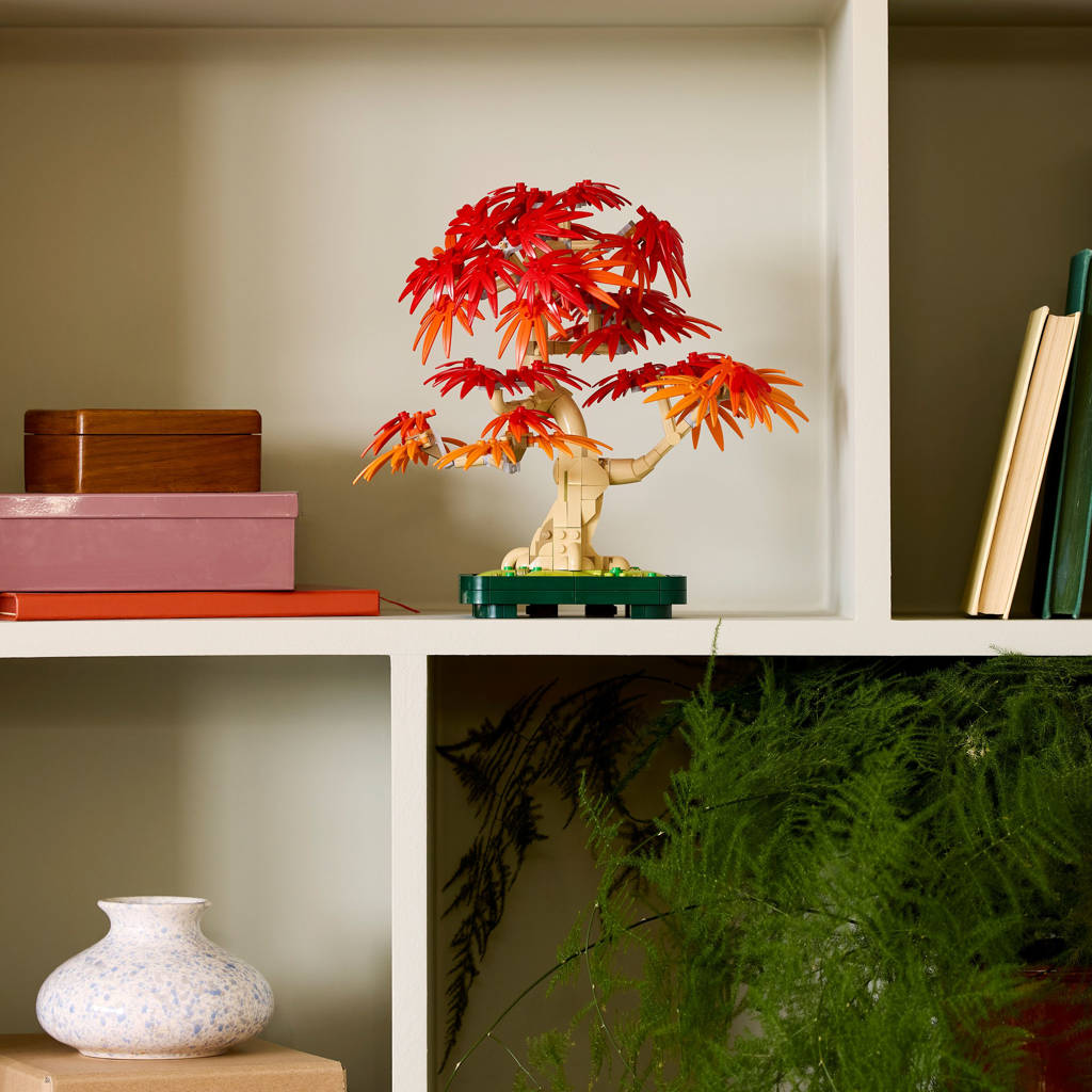 bonsai saatgut Bonsai Starter Kit Anzuchtset inkl. GRATIS eBook