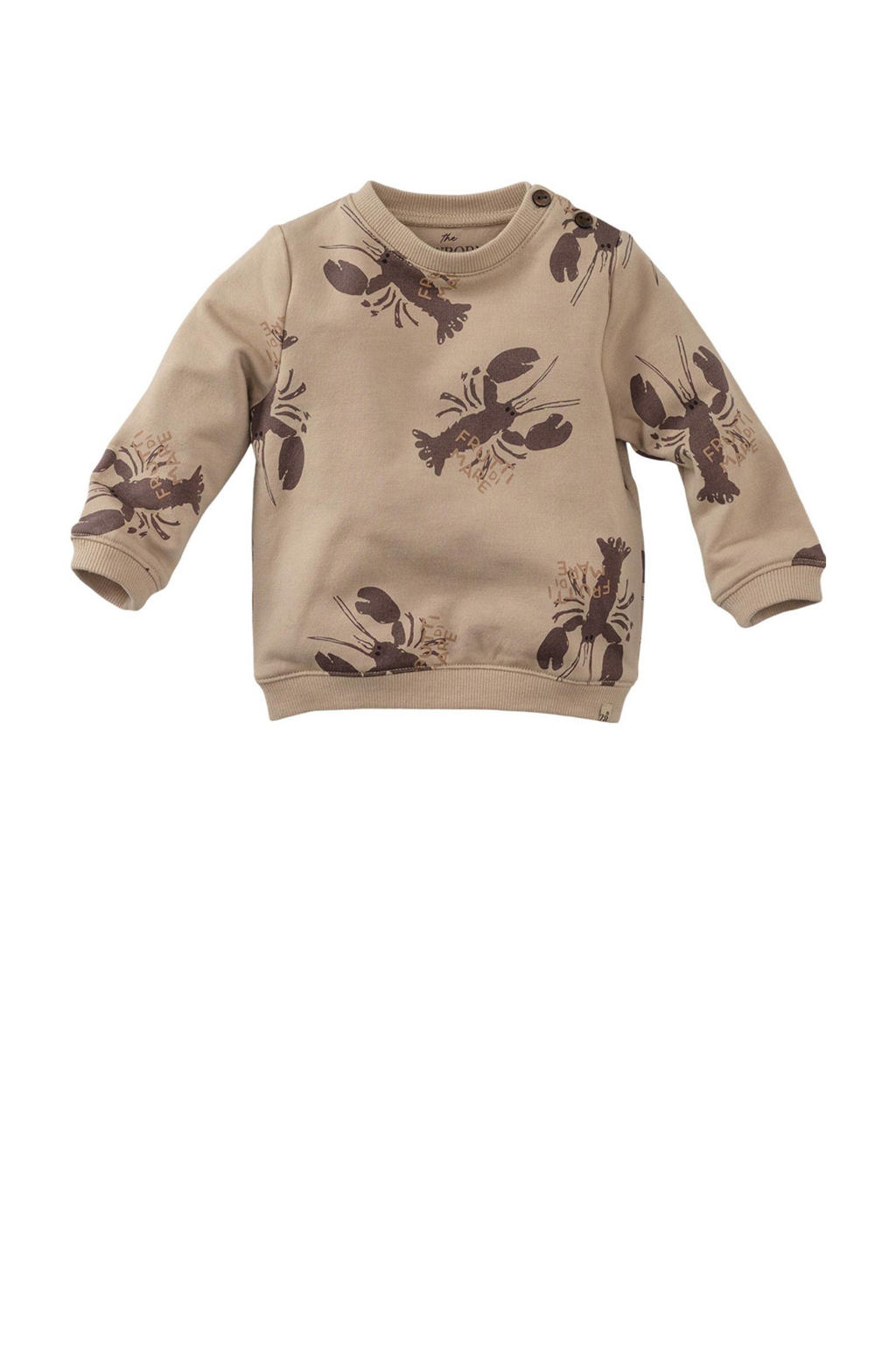 Zand en bruine jongens Z8 newborn sweater Franco met lange mouwen, ronde hals en drukknoopsluiting
