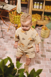 thumbnail: Z8 mini sweatshort Lazaro zand/oranje