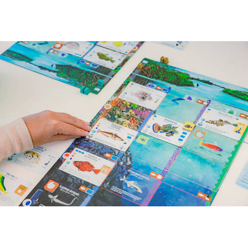 999 Games Finspan Bordspel | Bordspel van 999 Games