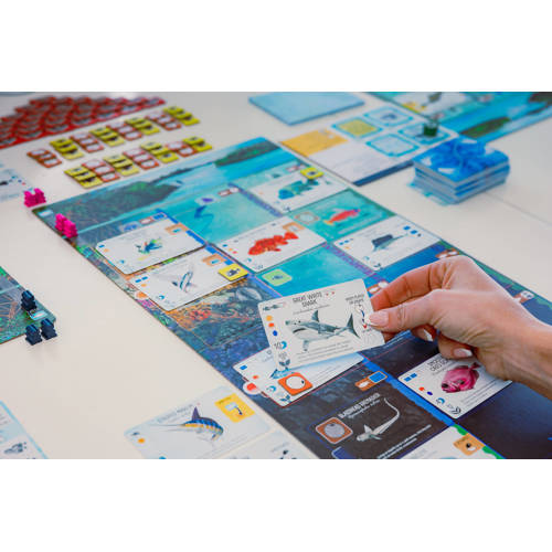 999 Games Finspan Bordspel | Bordspel van 999 Games