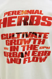 thumbnail: JACK & JONES JUNIOR T-shirt ecru