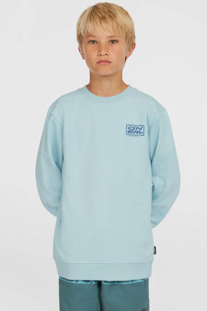 sweater lichtblauw
