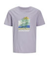 Languid Lavender