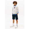 Tommy Hilfiger sweater grijs melange