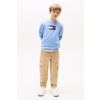 Tommy Hilfiger sweater lichtblauw