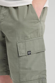 thumbnail: America Today cargo short groen