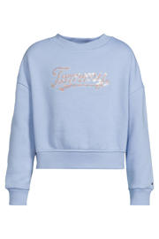 thumbnail: Lichtblauw en zilverkleurige meisjes Tommy Hilfiger sweater met tekst print, lange mouwen en ronde hals