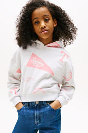 thumbnail: Tommy Hilfiger hoodie grijs melange
