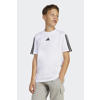 adidas Sportswear T-shirt wit/zwart
