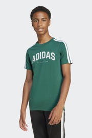 thumbnail: adidas Sportswear T-shirt groen/wit