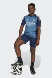 thumbnail: adidas Performance Junior Arsenal FC Arsenal FC voetbalshort blauw