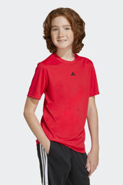 thumbnail: adidas Sportswear sportshirt rood/zwart