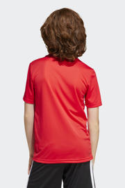 thumbnail: adidas Sportswear sportshirt rood/zwart