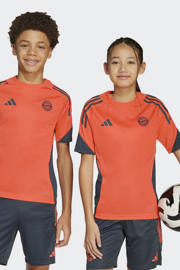thumbnail: adidas Performance Junior FC Bayern München voetbalshirt Training