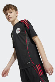 thumbnail: adidas Performance Junior Ajax Amsterdam voetbalshirt Training